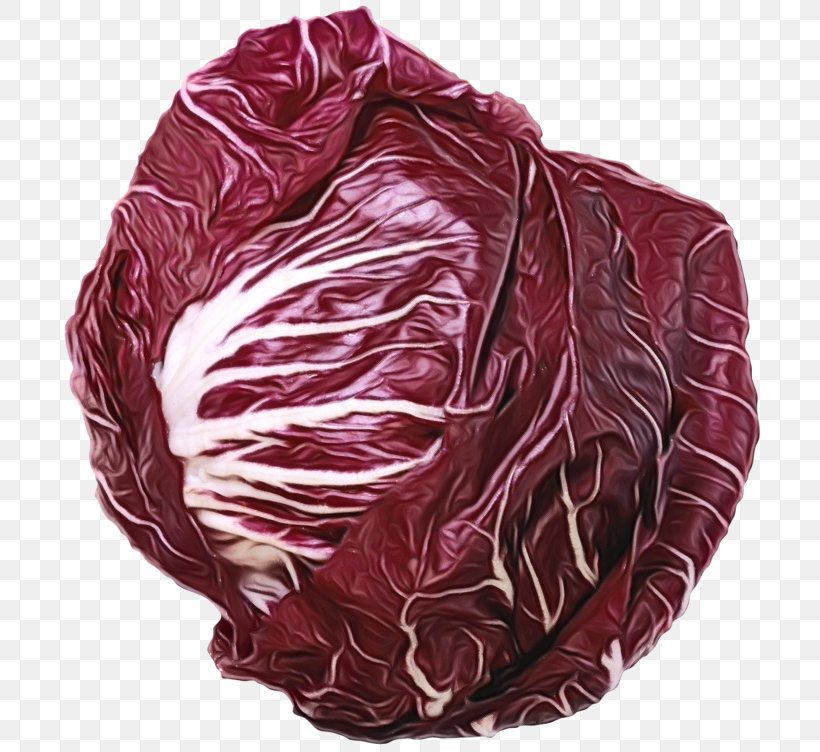 Cabbage Red Cabbage Radicchio Leaf Vegetable Vegetable, PNG, 700x752px, Watercolor, Cabbage, Food, Leaf Vegetable, Paint Download Free