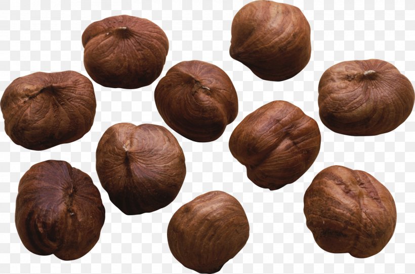 Hazelnut Chinese Chestnut Nuts Cashew, PNG, 1600x1057px, Hazelnut, Almond, Cashew, Chestnut, Chinese Chestnut Download Free