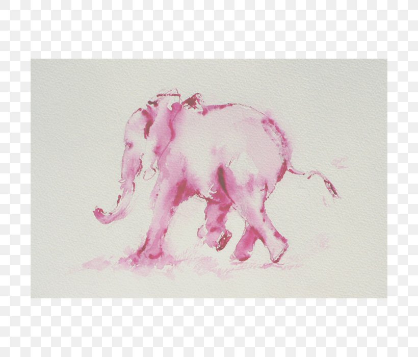 Indian Elephant African Elephant Watercolor Painting Drawing Pink M, PNG, 700x700px, Indian Elephant, African Elephant, Drawing, Elephant, Elephantidae Download Free