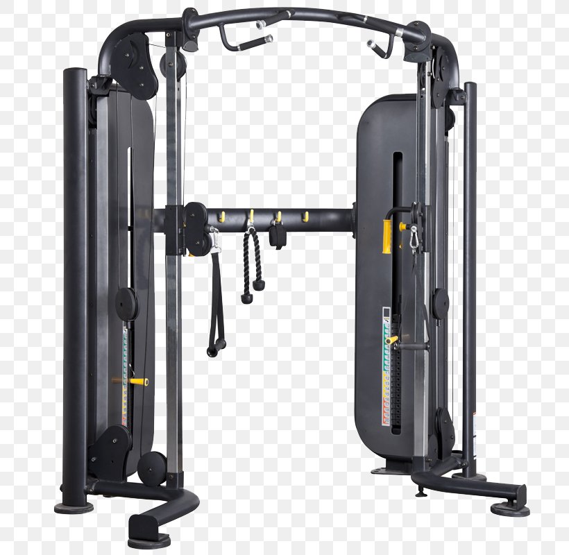 Treadmill Fly Training Bodybuilding Stationary Bicycle, PNG, 800x800px, Treadmill, Automotive Exterior, Bodybuilding, Commerce, Dumbbell Download Free