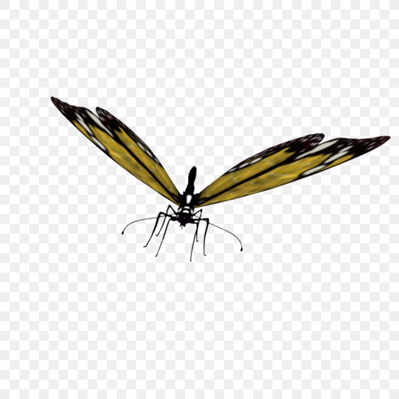 Butterfly Insect Clip Art, PNG, 1280x1280px, Butterfly, Arthropod, Butterflies And Moths, Digital Image, Fly Download Free