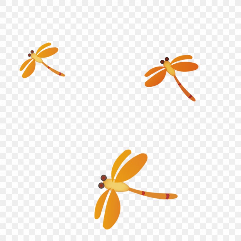 Cartoon Dragonfly, PNG, 895x895px, Cartoon, Area, Dragonfly, Drawing, Orange Download Free