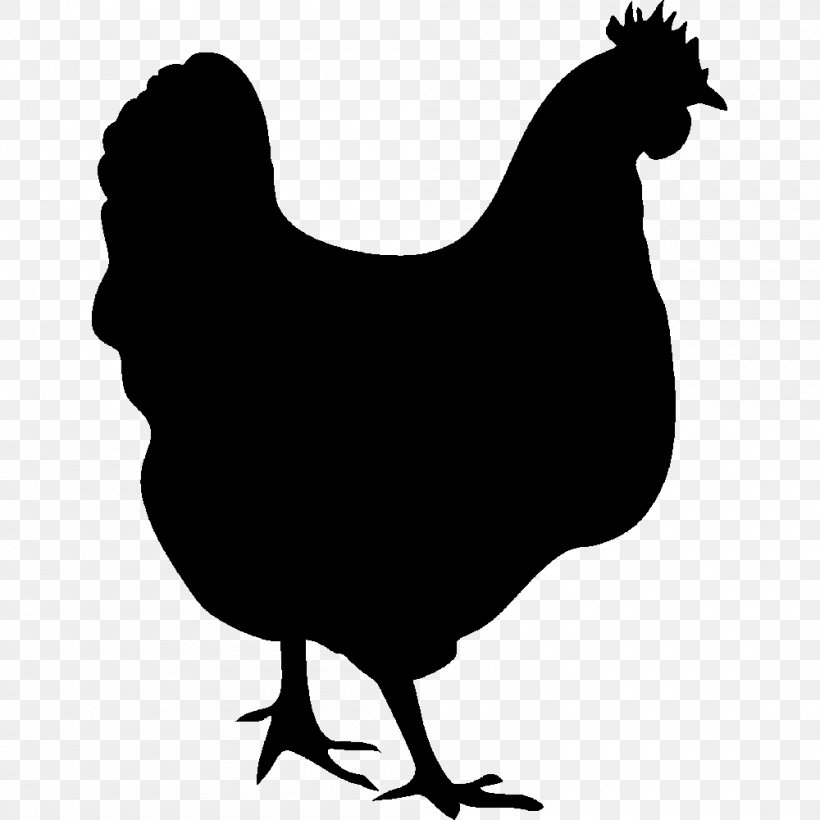 Chicken Meat Silhouette Hen Clip Art, PNG, 1000x1000px, Chicken, Beak, Bird, Black And White, Chicken Coop Download Free