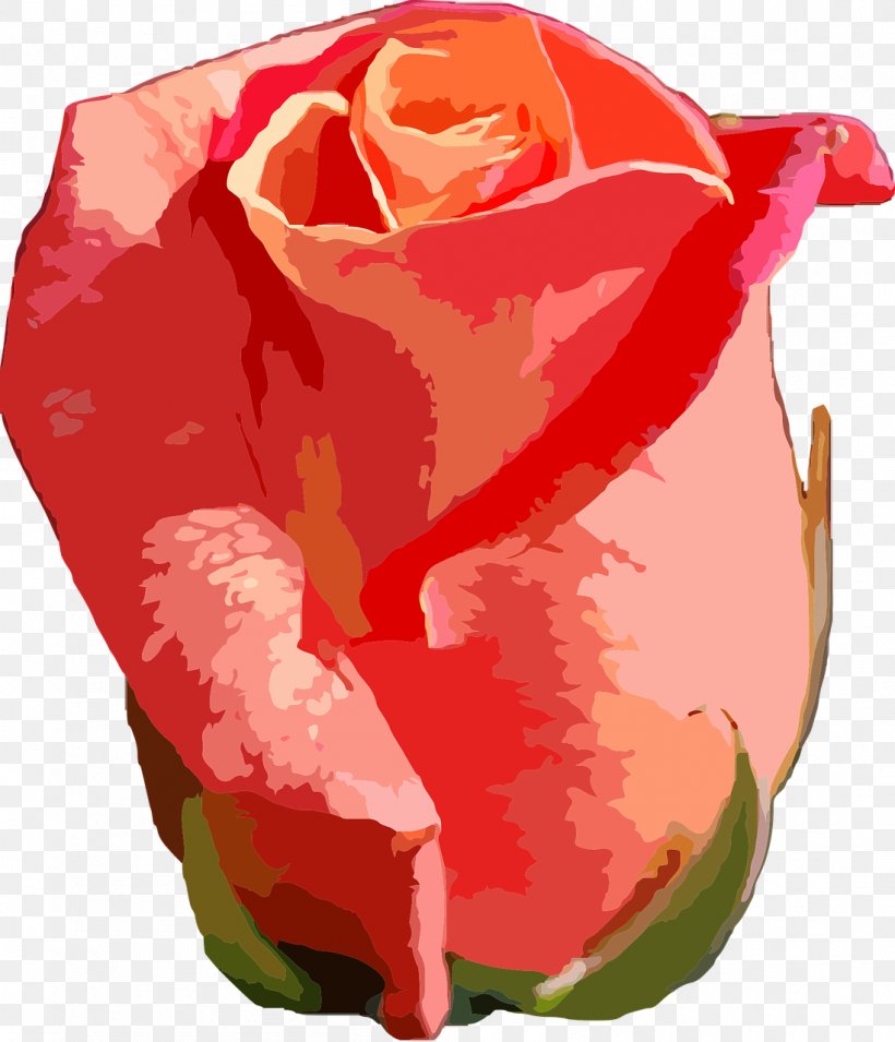 Garden Roses Flower Petal, PNG, 1098x1280px, Rose, Blossom, Flower, Flowering Plant, Garden Roses Download Free