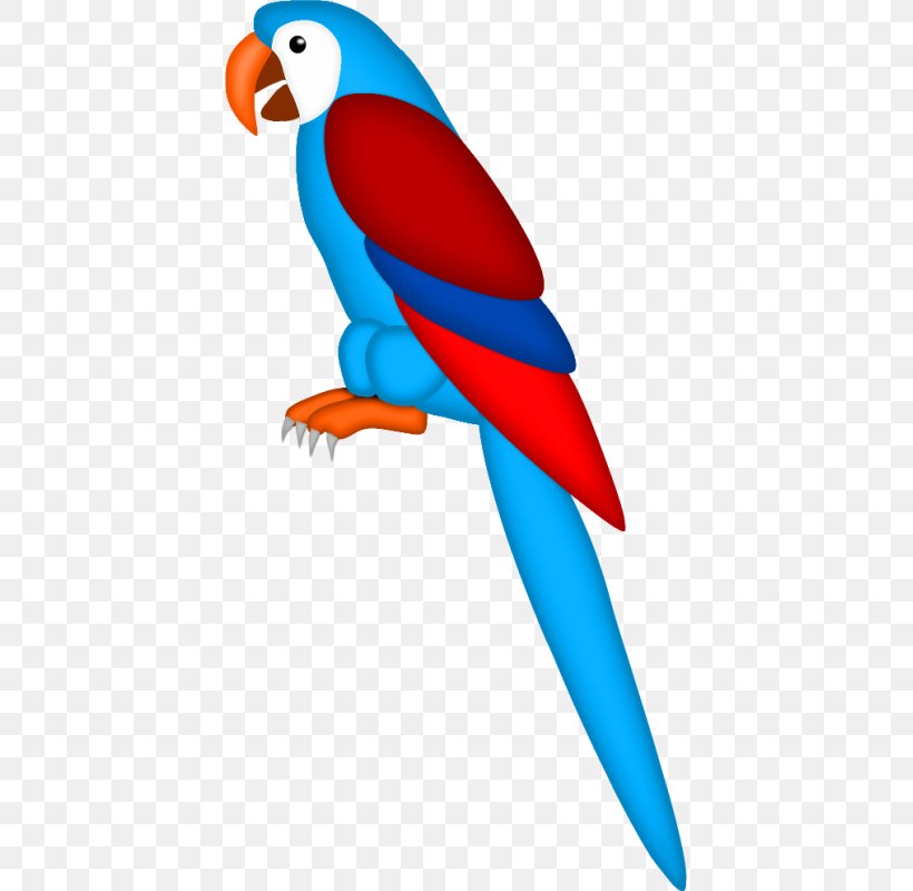 Macaw Bird Drawing True Parrot Clip Art, PNG, 415x800px, Macaw, Animaatio, Beak, Bird, Blueandyellow Macaw Download Free