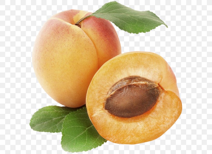 Apricot Fruit Peach Clip Art, PNG, 600x595px, Apricot, Dried Apricot, Dried Fruit, Food, Fruit Download Free