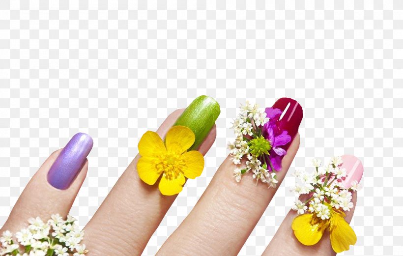 Nail Art Manicure Cosmetology, PNG, 1000x636px, Nail, Artificial Nails, Cosmetics, Cosmetology, Finger Download Free