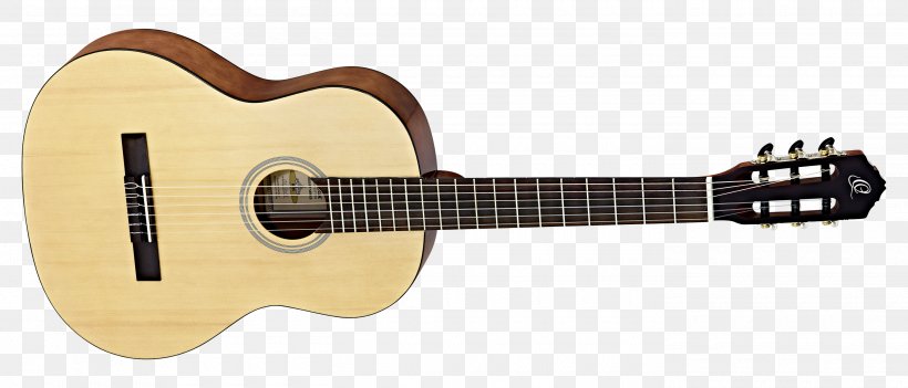 Twelve-string Guitar Acoustic Guitar Ibanez Bass Guitar Acoustic-electric Guitar, PNG, 2800x1200px, Watercolor, Cartoon, Flower, Frame, Heart Download Free