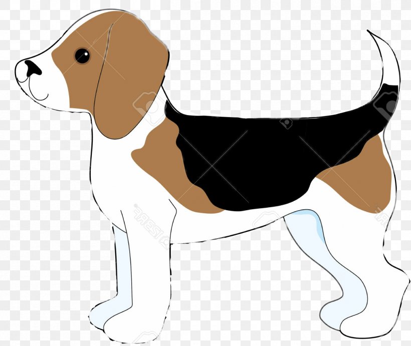 Beagle English Foxhound American Foxhound Harrier Treeing Walker Coonhound, PNG, 1255x1058px, Beagle, American Foxhound, Black And Tan Coonhound, Carnivoran, Cartoon Download Free