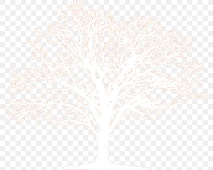 Branching, PNG, 800x653px, Branching, Branch, Pink, Tree, White Download Free