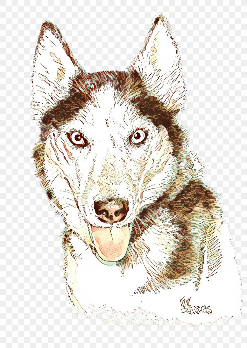Dog Head Drawing Working Dog, PNG, 1843x2600px, Dog, Drawing, Head, Working Dog Download Free
