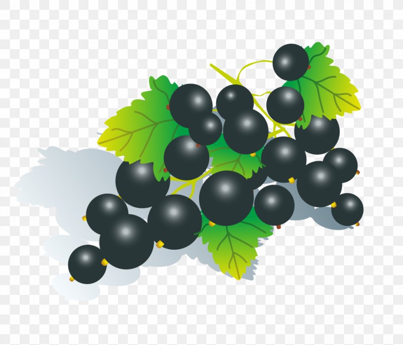 Fruit Download Grape Euclidean Vector, PNG, 992x850px, Fruit, Berry, Bilberry, Currant, Flowering Plant Download Free