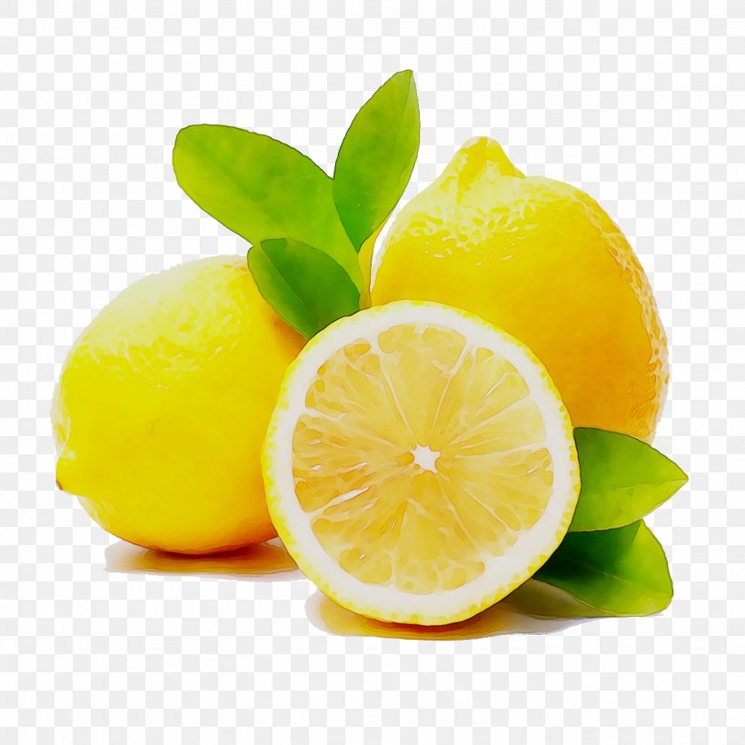 Lemon Eau De Cologne Lime Cosmetics Essential Oil, PNG, 1638x1638px, Lemon, Azzaro, Bitter Orange, Citric Acid, Citron Download Free