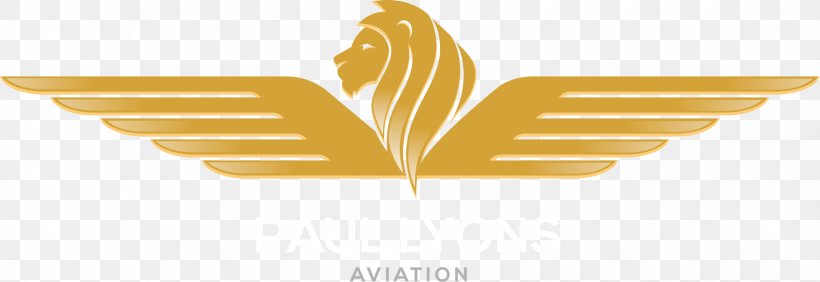 Paul Lyons Aviation Logo Air Charter Brand Aircraft, PNG, 1696x584px, Logo, Air Charter, Aircraft, Brand, Charter Download Free