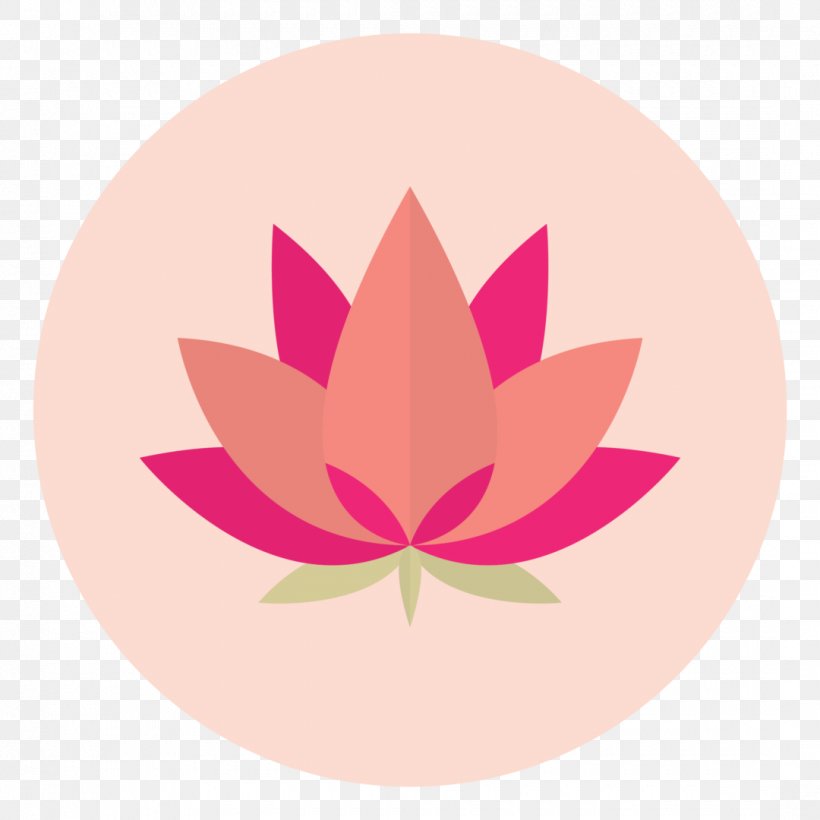 Petal Nelumbo Nucifera Flower Aquatic Plants Symbol, PNG, 1080x1080px, Petal, Aquatic Plants, Buddhism, Buddhist Symbolism, Floral Design Download Free