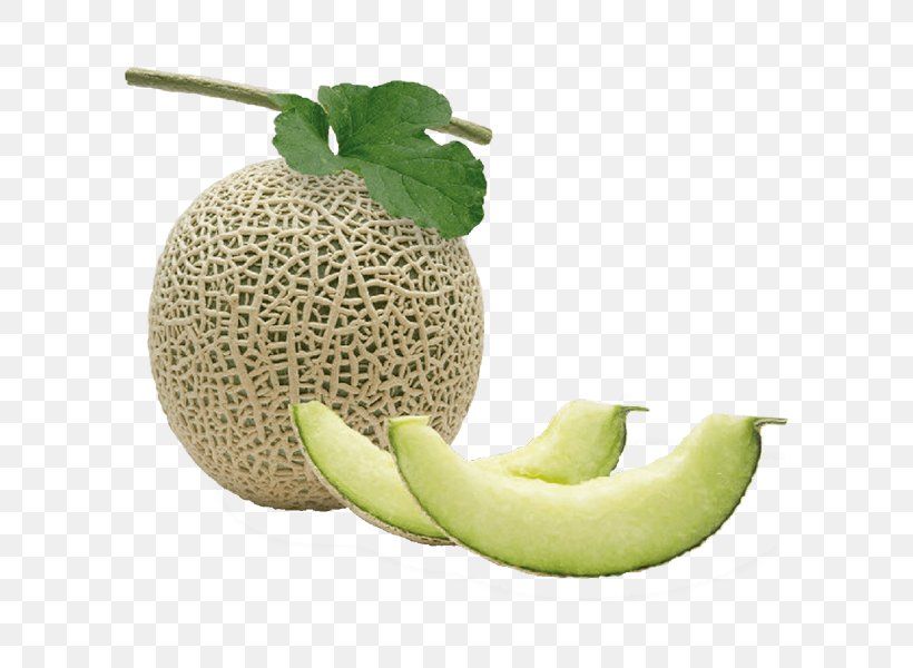 Honeydew Cantaloupe Galia Melon メロン・リキュール Laos, PNG, 600x600px, Honeydew, Cantaloupe, Cucumber Gourd And Melon Family, Cucurbitaceae, Diet Food Download Free