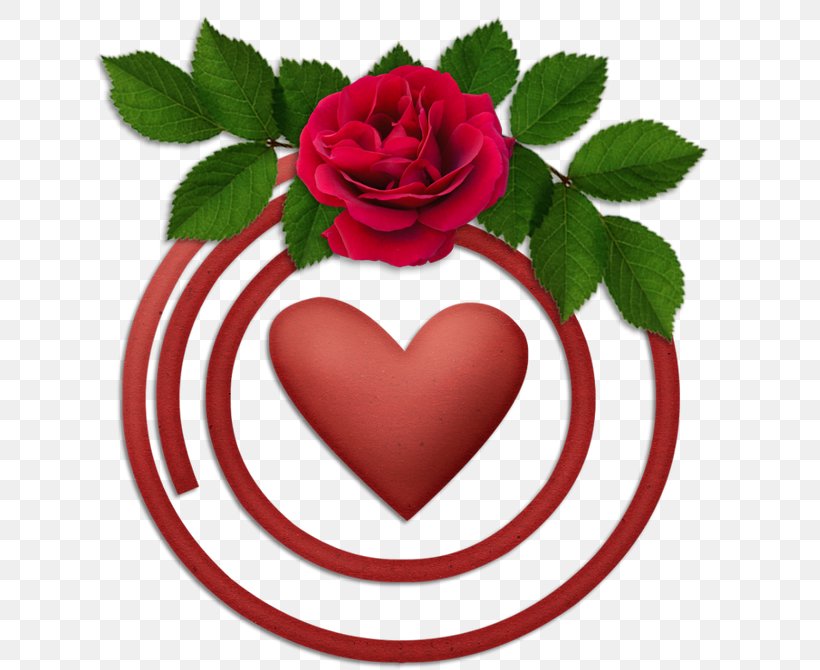 Love Rose Flower, PNG, 670x670px, Love, Blog, Flower, Garden Roses, Heart Download Free