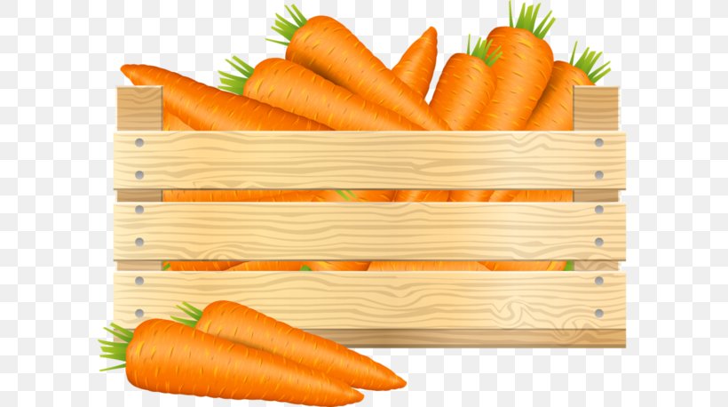 Baby Carrot Food Clip Art, PNG, 600x458px, Baby Carrot, Bockwurst, Carrot, Diet Food, Drawing Download Free