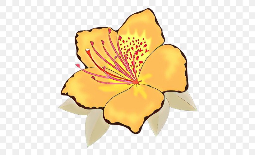Floral Blossom, PNG, 500x500px, Cartoon, Blossom, Daylily, Floral Design, Flower Download Free