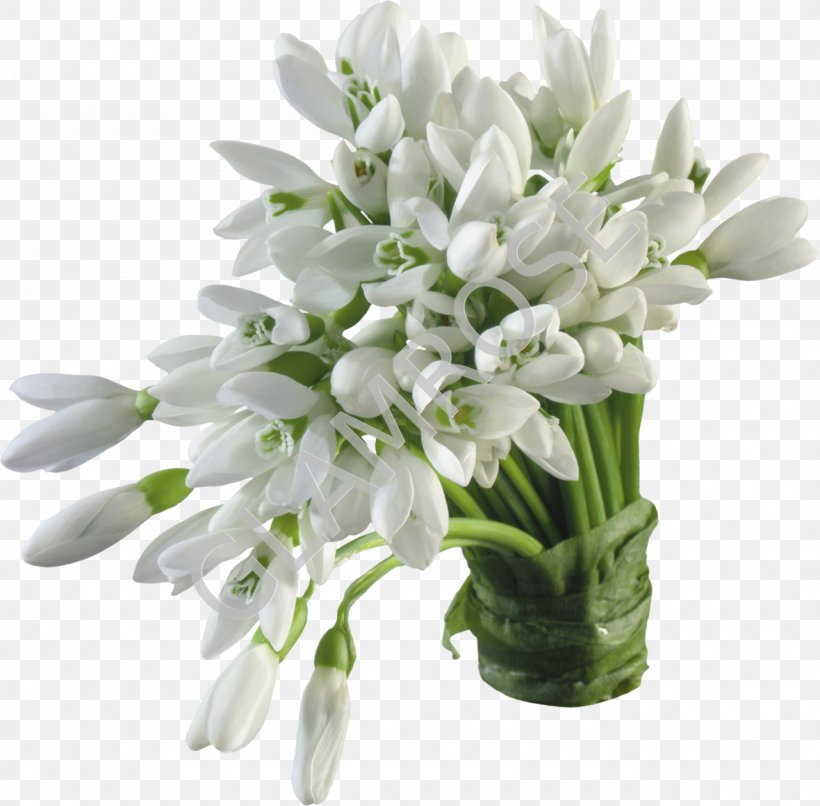 Snowdrop Flower Bouquet Desktop Wallpaper, PNG, 1280x1259px, Snowdrop, Cut Flowers, Digital Image, Display Resolution, Flower Download Free
