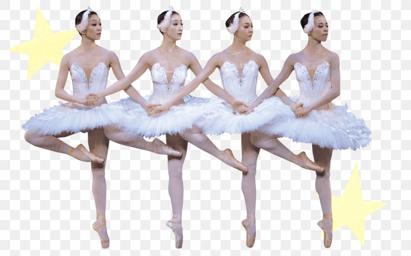 Ballet Choreographer Tutu Dance Choreography, PNG, 960x600px, Watercolor, Cartoon, Flower, Frame, Heart Download Free