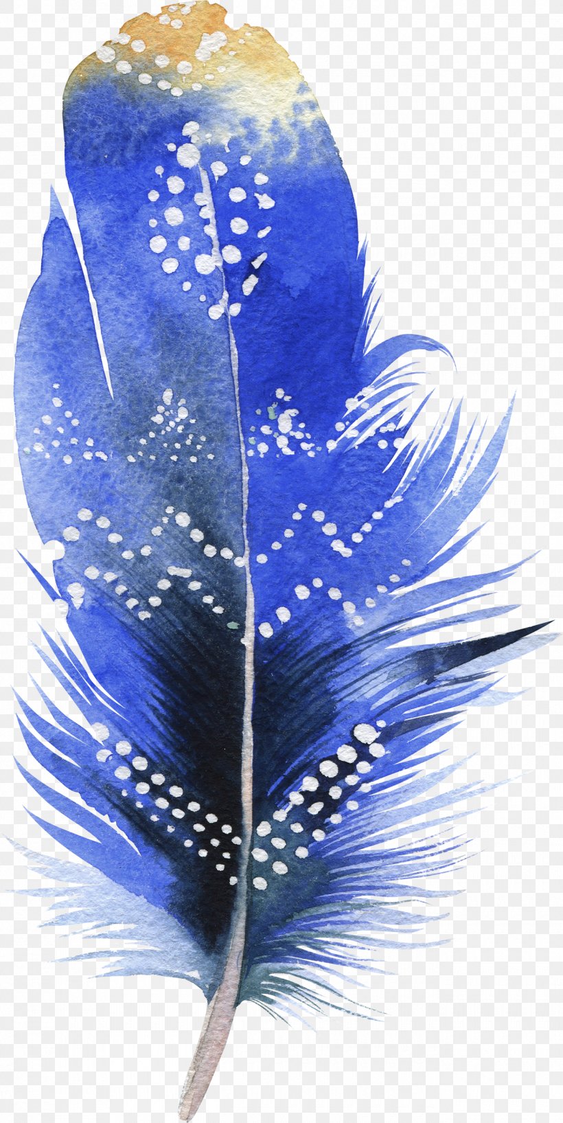 Bird Feather Watercolor Painting Drawing, PNG, 1300x2593px, Bird, Blue, Cobalt Blue, Color, Drawing Download Free