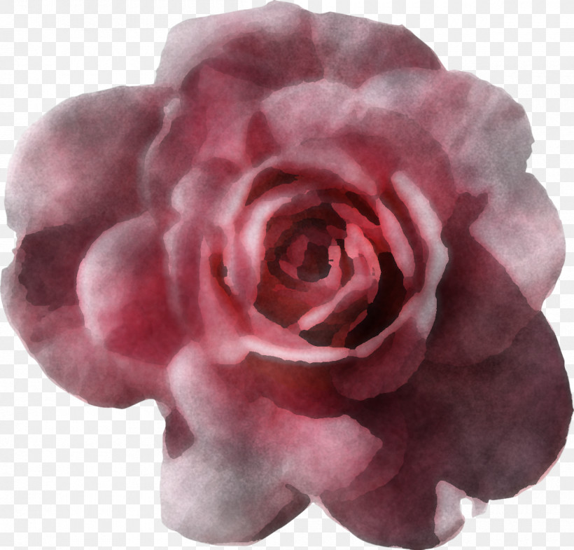 Garden Roses, PNG, 1200x1149px, Pink, Artificial Flower, Camellia, Cut Flowers, Floribunda Download Free