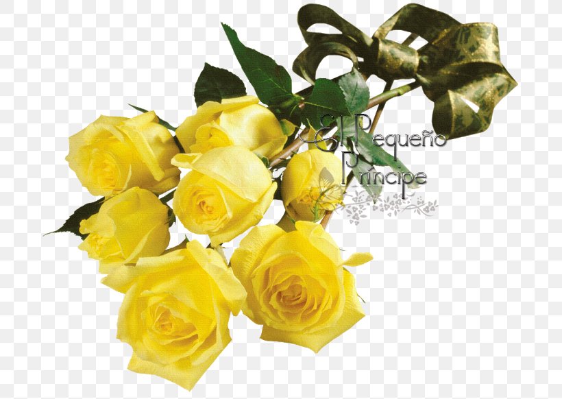 Garden Roses Flower Desktop Wallpaper, PNG, 700x582px, Garden Roses, Artificial Flower, Blue Rose, Cut Flowers, Floribunda Download Free