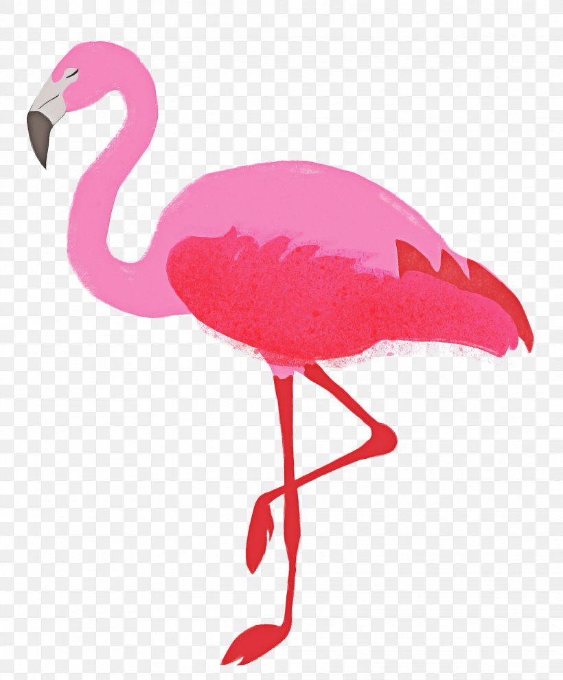 Pink Flamingo, PNG, 2078x2509px, Flamingo, American Flamingo, Beak, Bird, Cranelike Bird Download Free