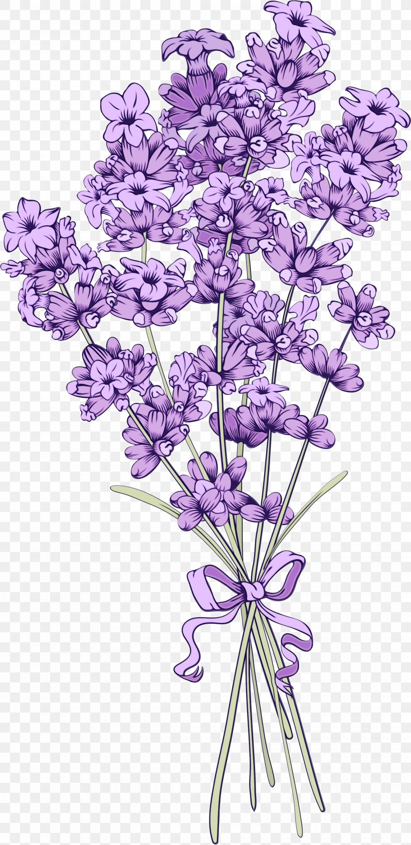 Purple Watercolor Flower, PNG, 1550x3184px, Watercolor, Art, Botanical Illustration, Botany, Cut Flowers Download Free