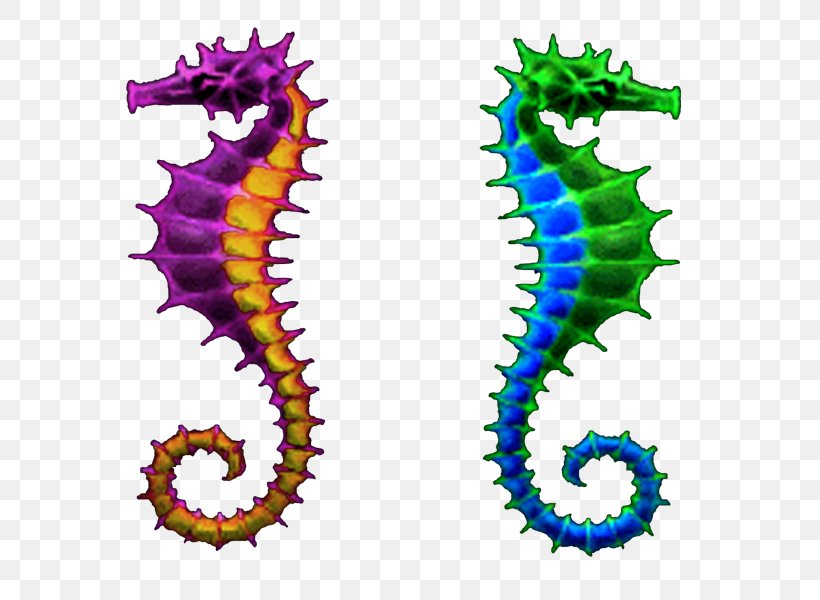 Seahorse Body Jewellery Line Clip Art, PNG, 600x600px, Seahorse, Body Jewellery, Body Jewelry, Fish, Jewellery Download Free