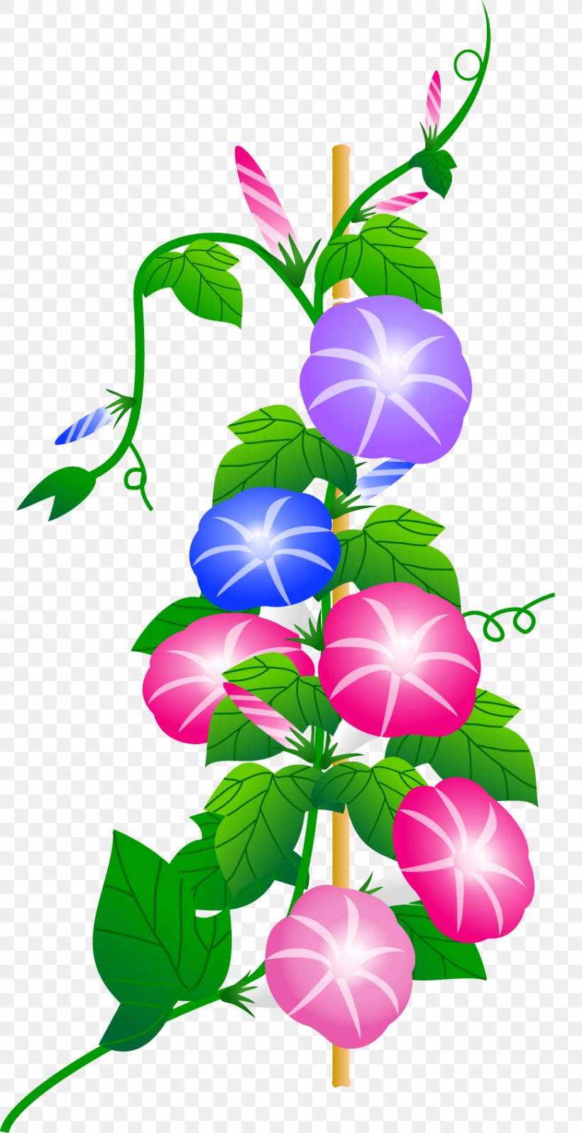 Japanese Morning Glory Blog Summer, PNG, 869x1693px, Japanese Morning Glory, Artwork, Autumn, Blog, Branch Download Free