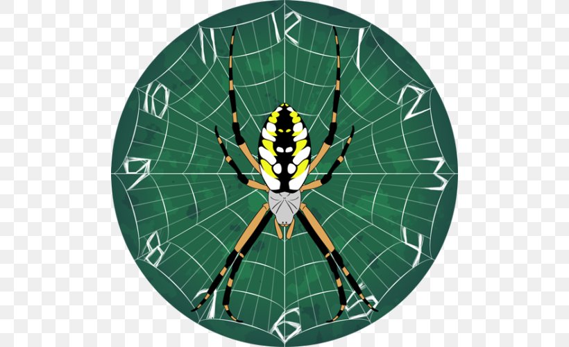 Spider Web Yellow Garden Spider Jumping Spider Drawing, PNG, 500x500px, Spider Web, Animal, Arachnid, Argiope, Art Download Free