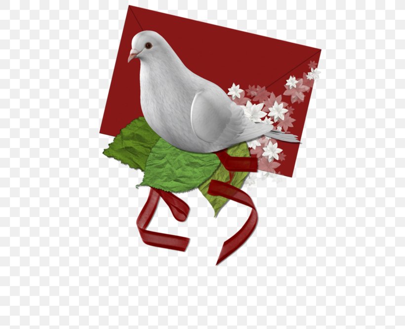 Columbidae Google Images, PNG, 600x667px, Columbidae, Beak, Bird, Christmas, Christmas Decoration Download Free