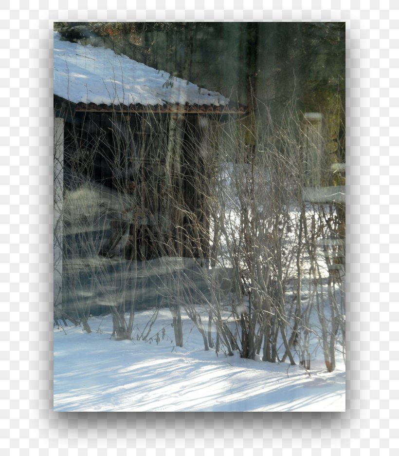 Icicle Painting Tree, PNG, 736x936px, Icicle, Blizzard, Freezing, Frost, Ice Download Free