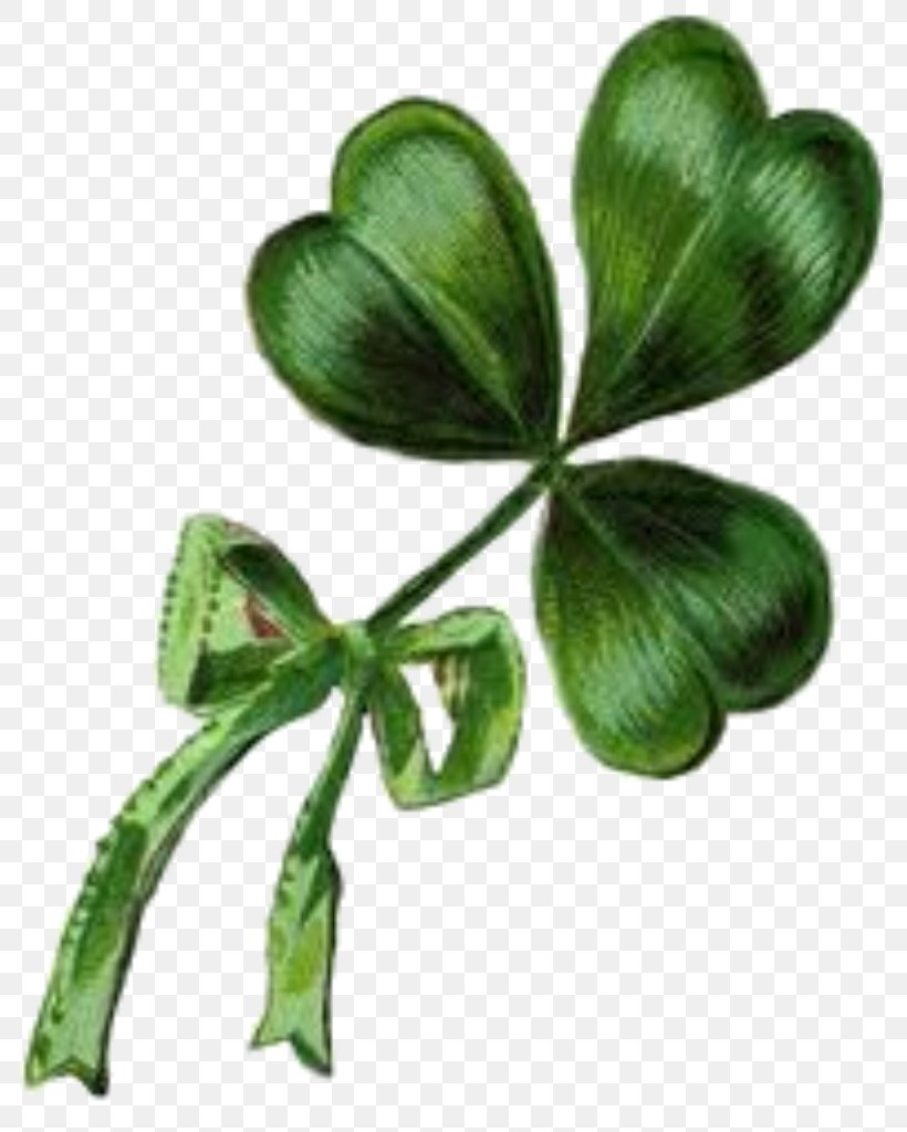 Ireland Shamrock Saint Patrick's Day Vintage Clothing Clip Art, PNG, 795x1024px, Ireland, Antique, Clover, Etsy, Flag Of Ireland Download Free