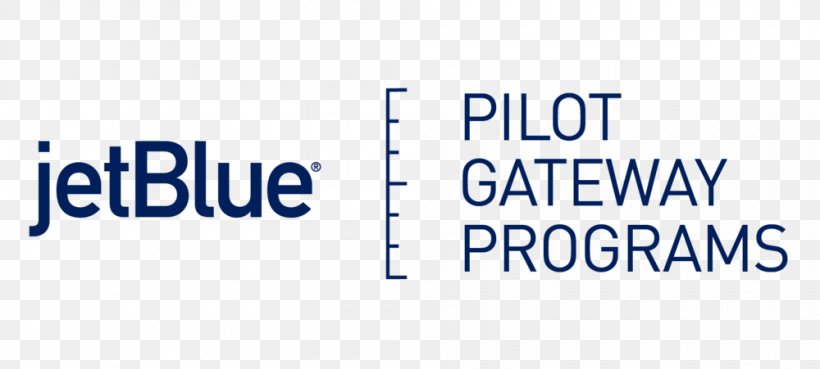 JetBlue Airline Ticket Flight 0506147919, PNG, 1000x451px, Jetblue, Airline, Airline Ticket, Area, Aviation Download Free