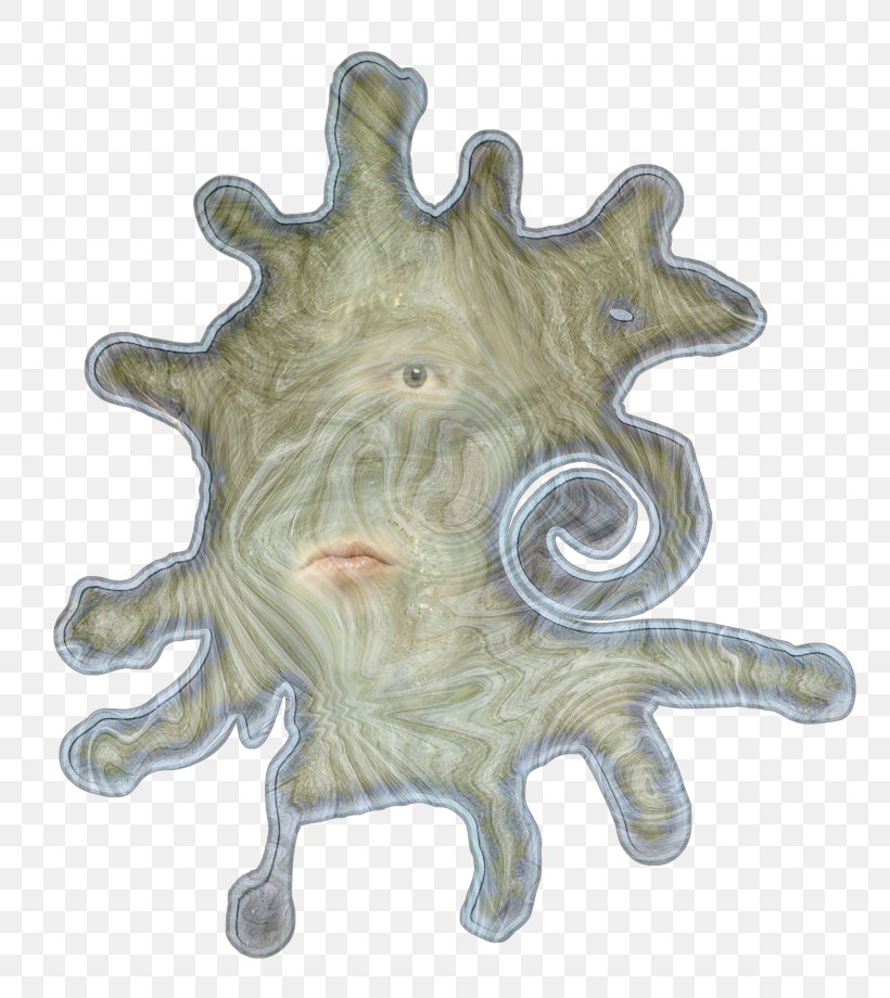 Organism Animal, PNG, 793x920px, Organism, Animal Download Free