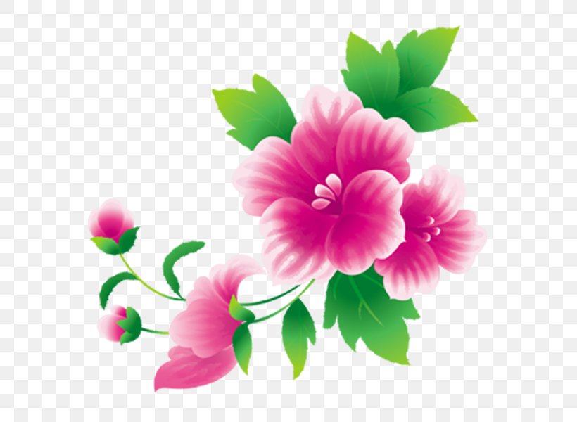 Pink Flowers Floral Design Clip Art, PNG, 600x600px, Flower, Annual Plant, China Rose, Cut Flowers, Drawing Download Free