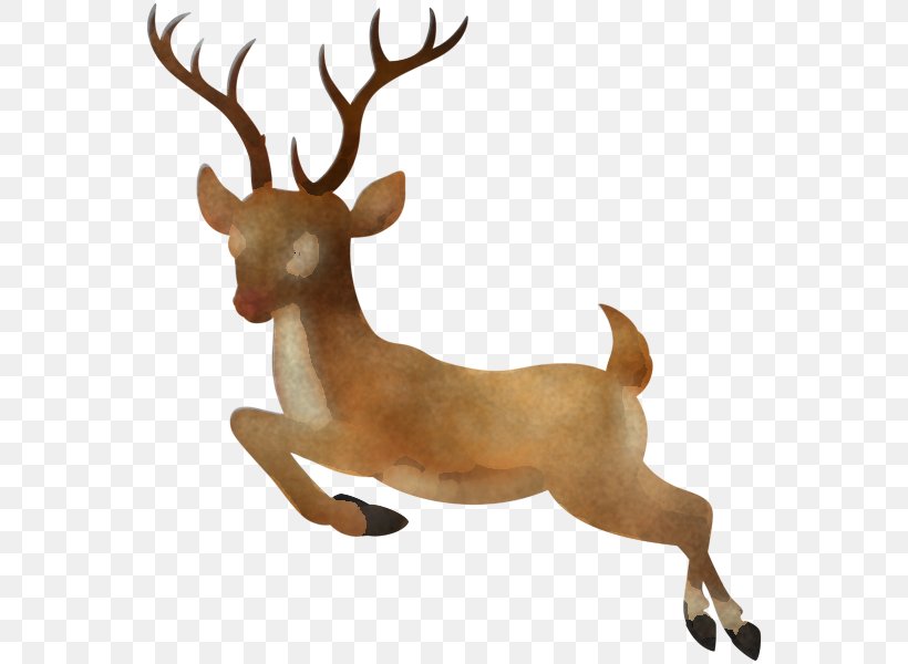 Reindeer, PNG, 560x600px, Reindeer, Animal Figure, Antler, Deer, Elk Download Free