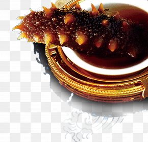 Sea Cucumber - Seafood Sea Cucumber Advertising Oplopanax Elatus PNG