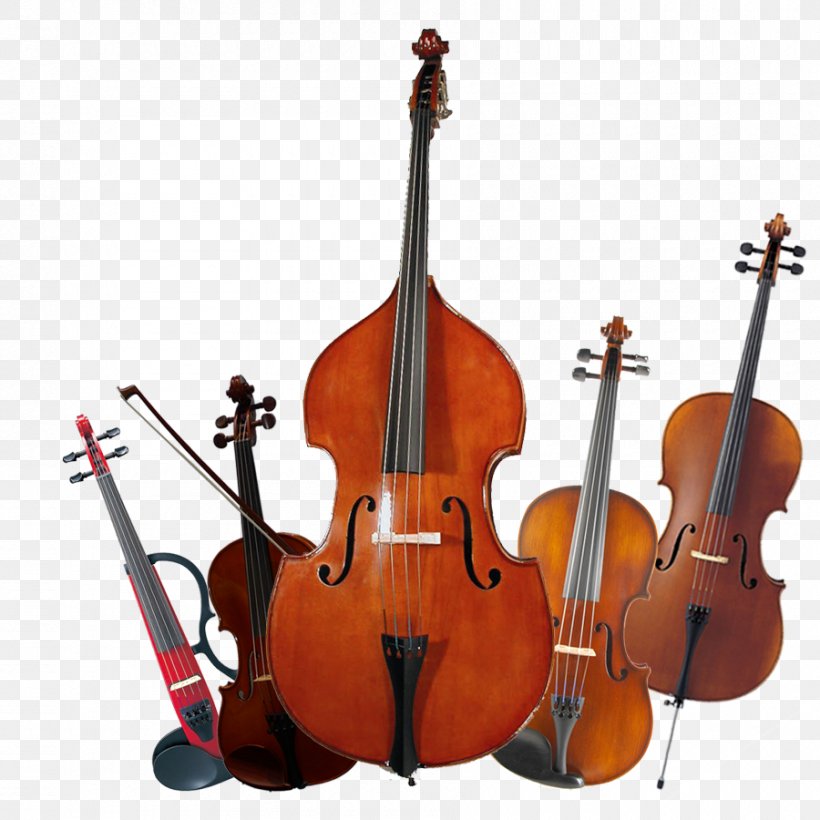 Bass Violin Violone Double Bass Viola, PNG, 900x900px, Bass Violin, Bass Guitar, Bowed String Instrument, Cellist, Cello Download Free