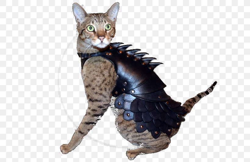 Cat Plate Armour Body Armor Felidae, PNG, 640x533px, Cat, Armour, Battle Cats, Bengal, Body Armor Download Free