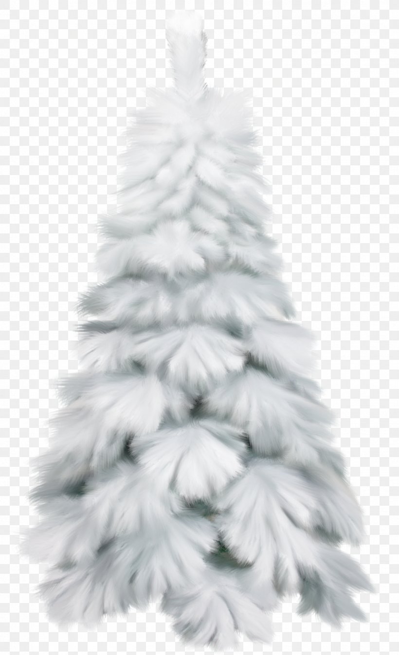 Christmas Tree, PNG, 1521x2500px, Christmas, Christmas Decoration, Christmas Ornament, Christmas Tree, Conifer Download Free