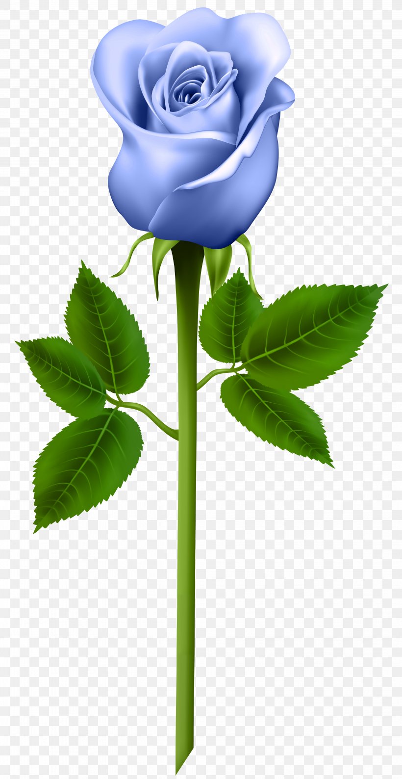 Rose Purple Clip Art, PNG, 4129x8000px, Rose, Artificial Flower, Blue, Blue Rose, Color Download Free