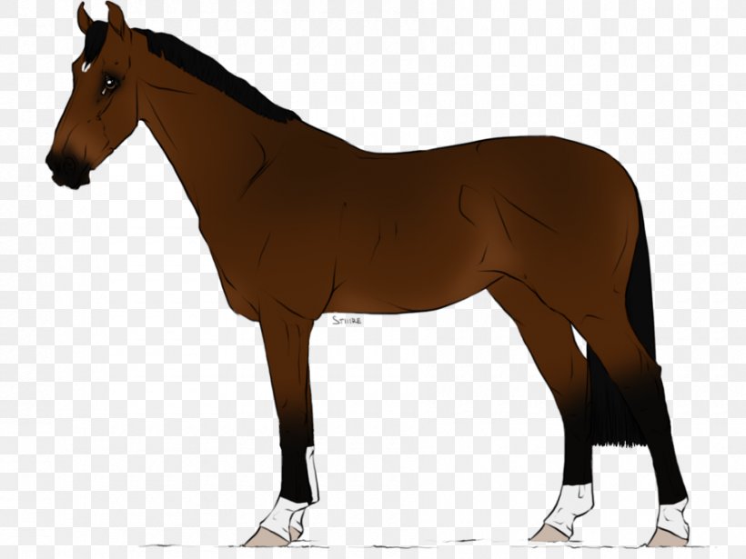 Stallion Mare Trakehner Foal Mane, PNG, 900x675px, Stallion, Bay, Bridle, Brindle, Colt Download Free