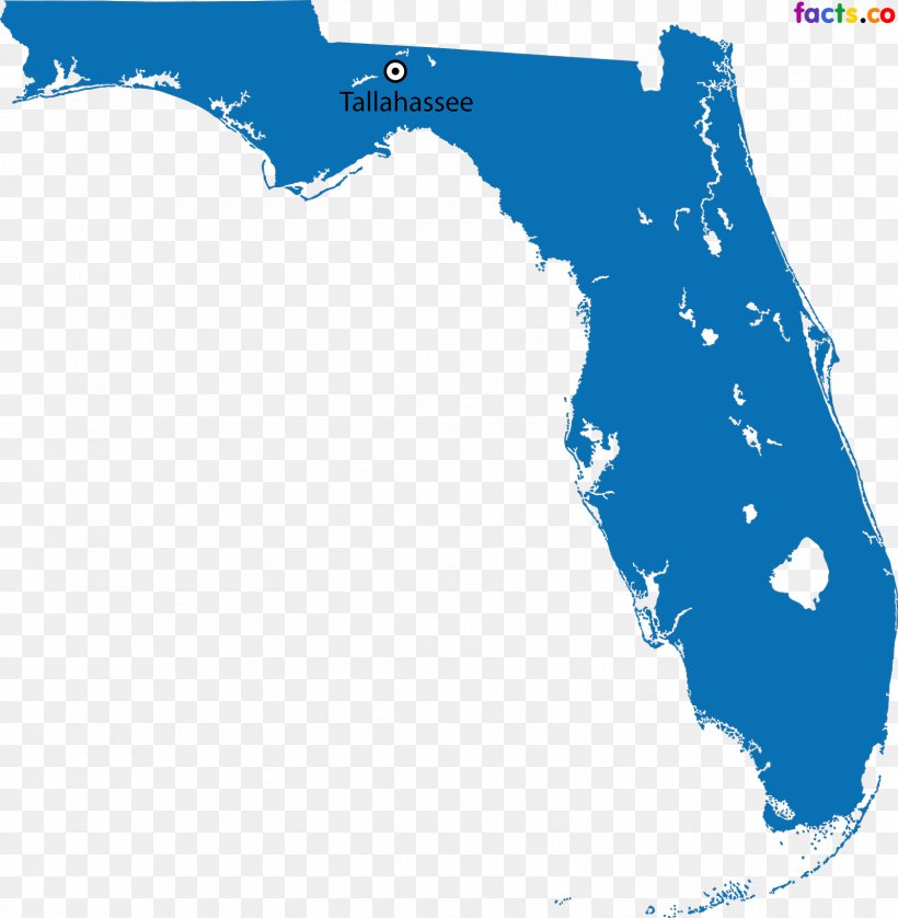 Topographic Map Reliefkarte Florida Farm Bureau Group, PNG, 1600x1637px, Map, Area, Ecoregion, Florida, Florida Farm Bureau Group Download Free