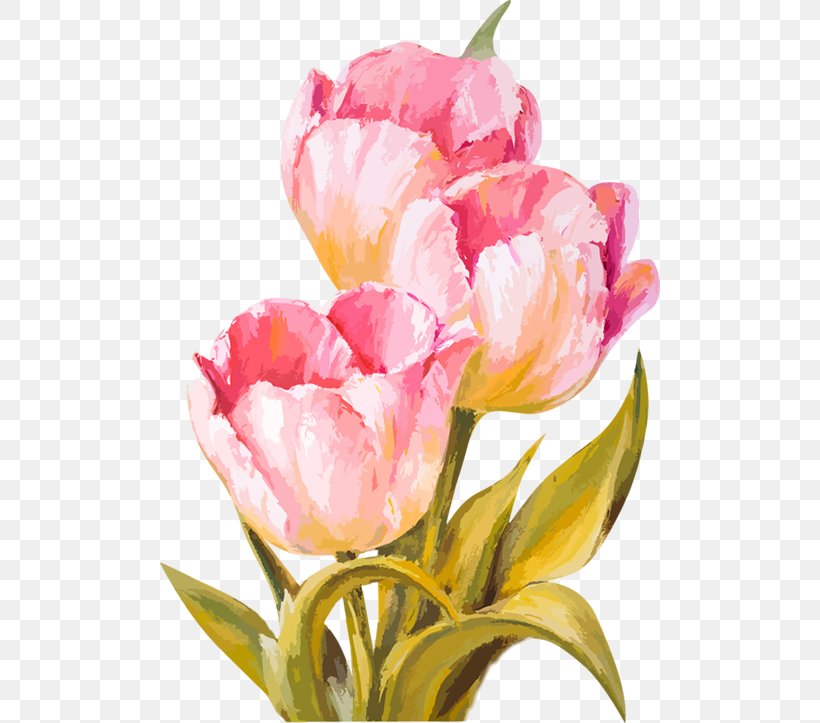 Wedding Invitation Tulip Flower, PNG, 500x723px, Wedding Invitation, Cut Flowers, Floral Design, Floristry, Flower Download Free