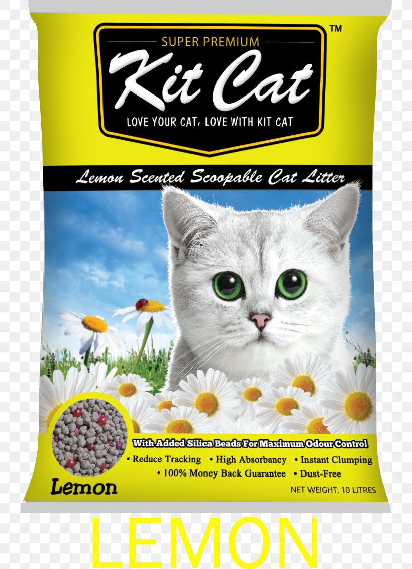 Cat Litter Trays Dog Pet Bentonite, PNG, 742x1132px, Cat, Animal, Bedding, Bentonite, Cat Food Download Free