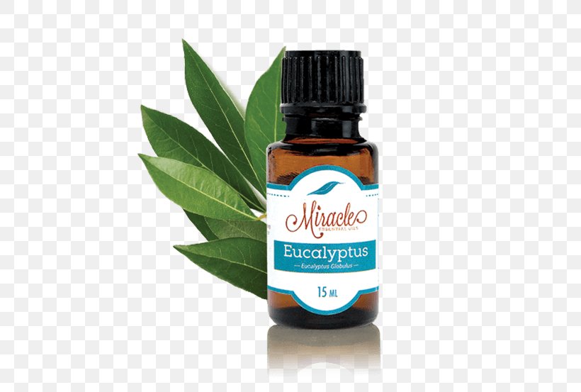 Essential Oil Eucalyptus Oil Tasmanian Blue Gum Liquid, PNG, 516x553px, Essential Oil, Aroma Compound, Citral, Eucalyptus Oil, Frankincense Download Free